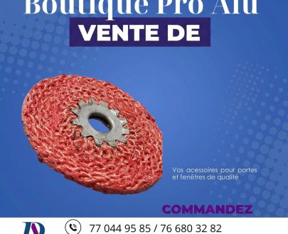 Disc a poncer inox